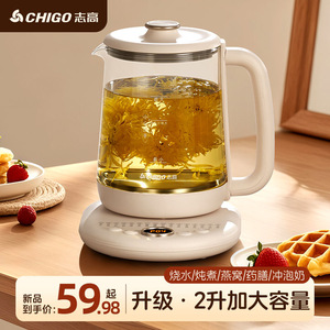 2l养生壶志高煎药壶中国大陆