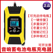 音响音箱广场舞拉杆音响外接备用蓄电池充电器电池电瓶充电器套装