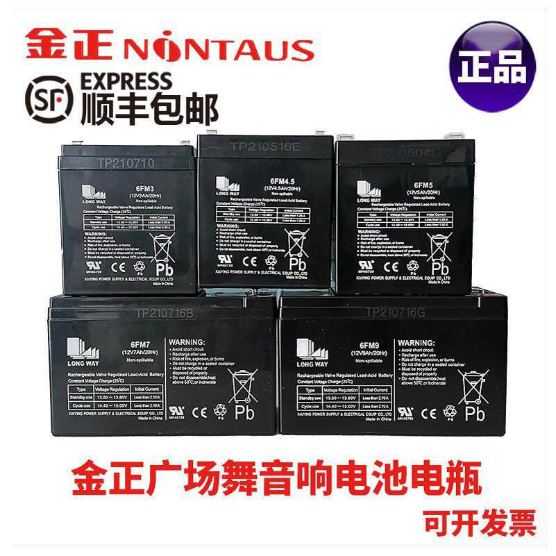 金正广场舞音响电池带显示屏幕户外音箱电瓶全新铅酸电池蓄电池