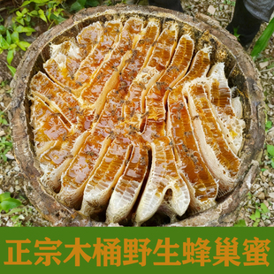木桶野生蜂巢蜜嚼着吃纯正天然野生深山蜂巢块老巢峰蜜土蜂蜜500g