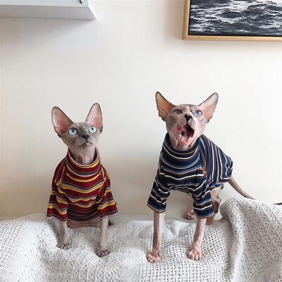 Cat Clothes for Sphinx Hairless Cat Clothes Striped Clothing