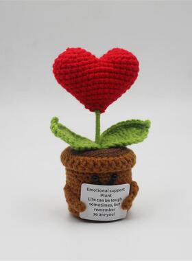 Handmand Emotionlal Support Plant Gift手工编织积极的植物盆栽