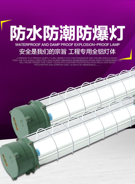LEDT8消防应急防爆灯自带蓄电池隔爆型防爆双管荧光灯车间照明灯