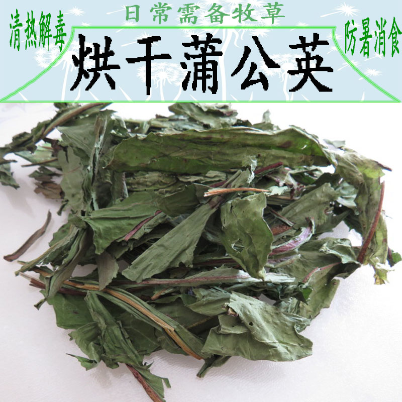 26年烘干蒲公英干草兔粮荷兰猪幼兔牧草粗纤维提草提摩西北提