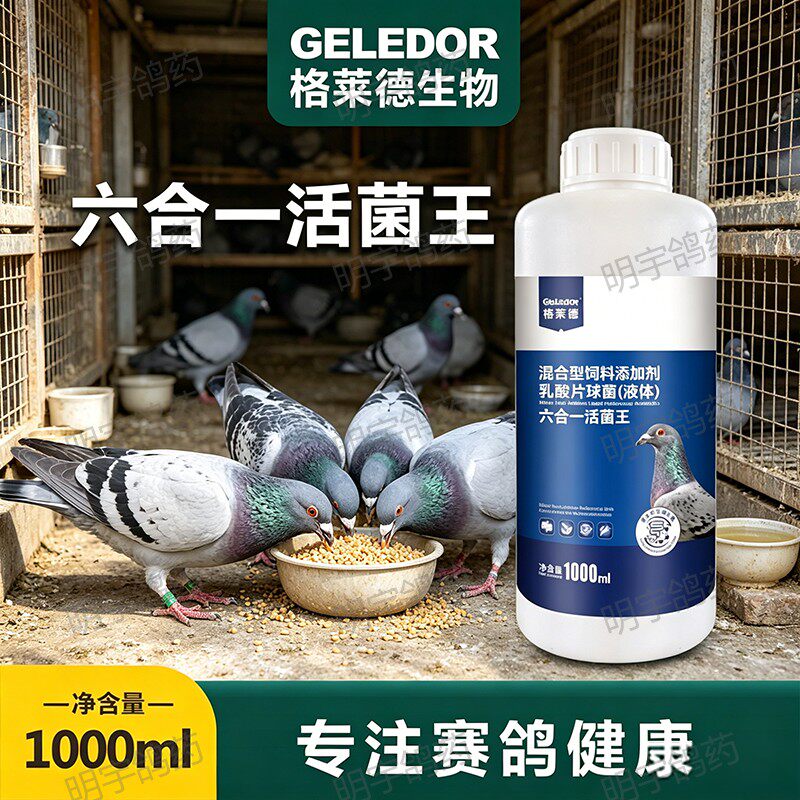 格莱德六合一活菌王赛鸽信鸽鸟肠道调理益生菌有益菌养殖常备鹦鹉