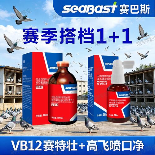 赛巴斯赛特壮VB12高飞喷口净赛鸽训赛营养补充液信鸽赛后体能调理