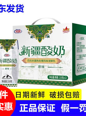 花园新疆酸奶12盒装常温广东发货