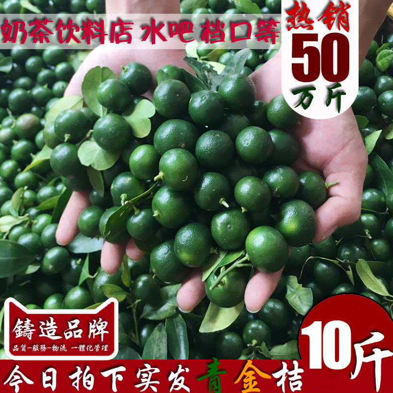 有赠品现货现发新鲜小青金桔小柠檬常年供应奶茶店青柠檬小金桔10斤批发