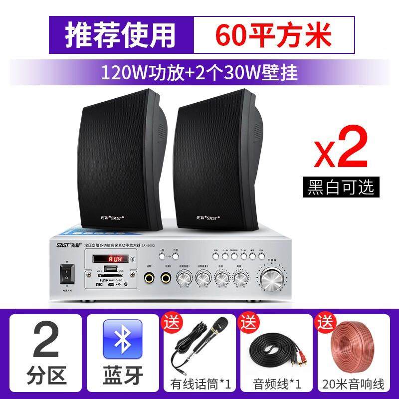 先科(SAST) 壁挂音响大功率音箱组合壁挂式挂墙套装店铺用室内功