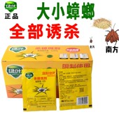 蟑螂药胶饵绿叶灭蟑螂杀蟑螂饵剂诱捕器蟑螂贴粘蟑板蟑螂屋蚂蚁药