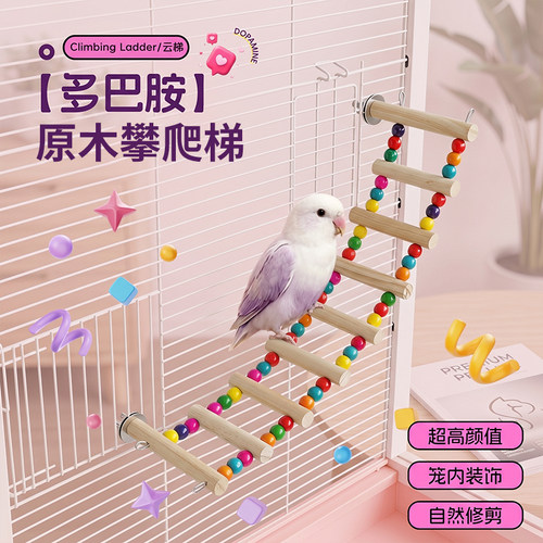 鹦鹉爬梯玩具原木彩珠站杆鸟用
