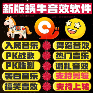 蜗牛音效软件激活码主播音效电脑版包安装-自动发货