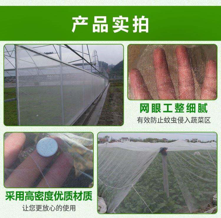 窗纱布防蚊纱网池塘晾晒窗纱网沙咸菜种菜杨梅天网防鸟网养殖|ruв категории доставка цветов/цветок моделирования/растения садоводства, садовых принадлежностей, других садовых принадлежностей - от Buy2taobao.com для оказания профессиональной услуги покупки агента Taobao