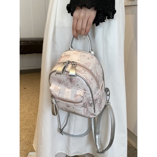 今年流行超火小众女式 百搭后背包出游旅行包 双肩包2025新款 潮时尚