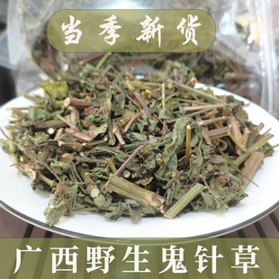 野生鬼针草广西野生500g一斤装自采自晒当季新货三叶鬼针草中药材