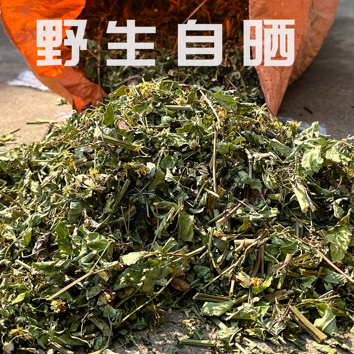 广西当季新货野生鬼针草三叶无硫干货归真草鬼针草中药材调压茶