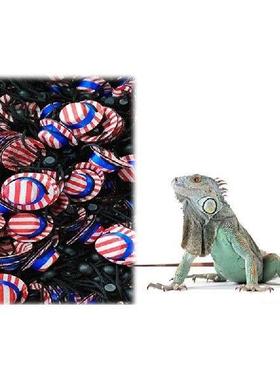 Bearded Dragon Independence Day Costume Holiday Dress Up