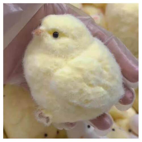 Chick Taba Squishy Toys Ultra Soft Squeeze Fidget rua泥感鸡