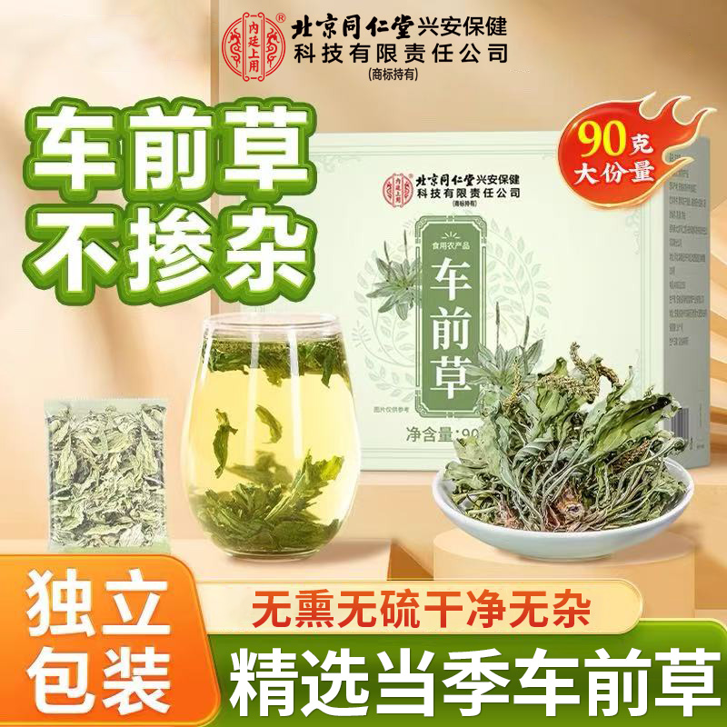 北京同仁堂车前草当季新货无硫熏泡水喝常备养生茶