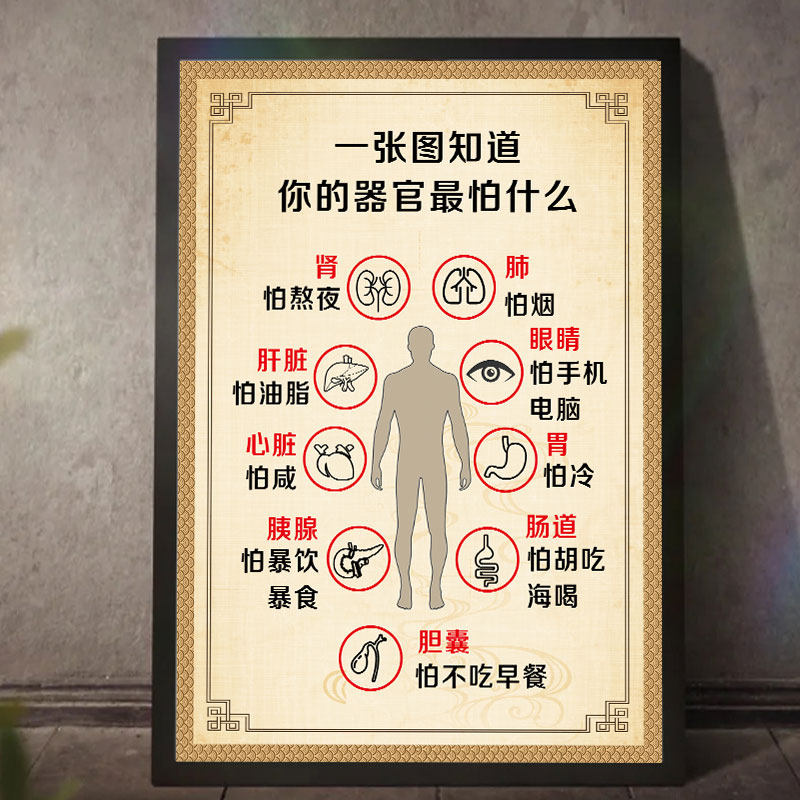 人体内脏解剖系统示意图海报医学宣传挂图人体器官心脏结构图3162