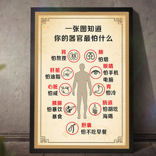 人体内脏解剖系统示意图海报医学宣传挂图人体器官心脏结构图3162