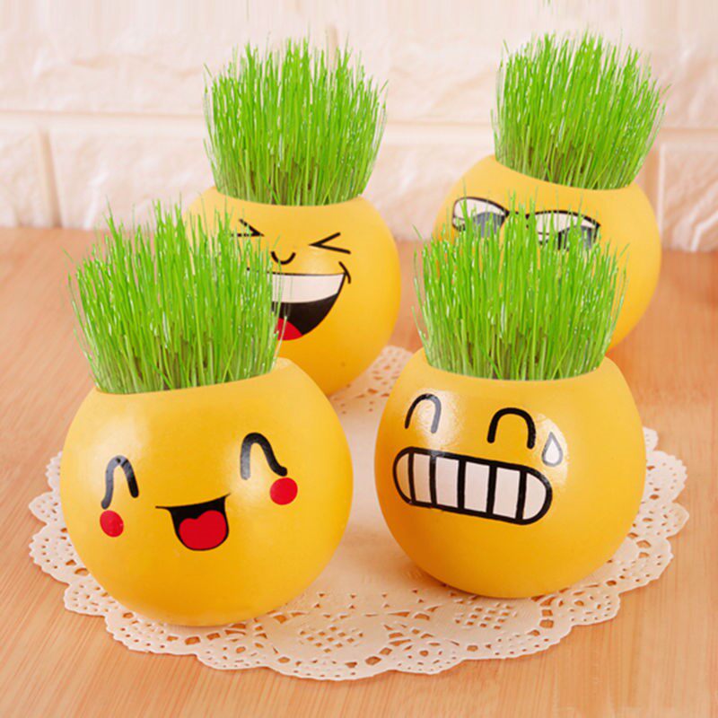 创意草头娃娃桌面迷你植物小盆栽卡通办公室室内微景青草种植表情 花香日记