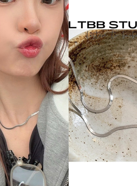 LTBB【张月同款】S925纯银扁蛇骨链素链项链高级感轻奢刀片链