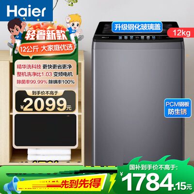 Haier/海尔XQB120-BSE30L2直驱变频12公斤波轮洗衣机精华洗除菌螨