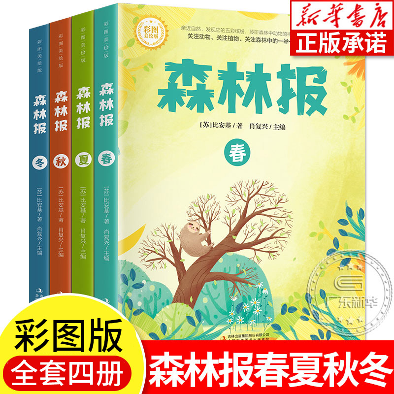 森林春夏秋冬4册全套正版三四