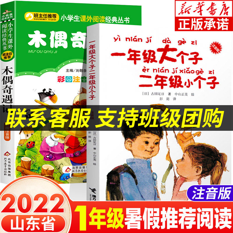 2022年山东省暑假读一本好书一年级课外书推荐 全2册 一年级大个子二年级小个子 木偶奇遇记 小学一年级推荐课外阅读儿童文学经典怎么看?