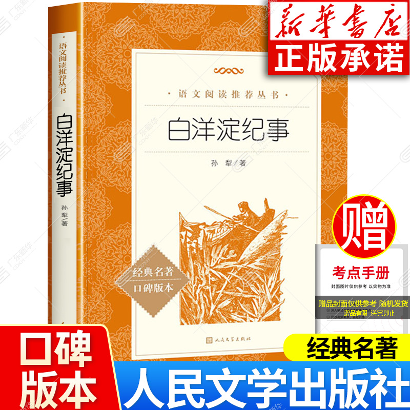 白洋淀纪事语文推荐阅读丛书