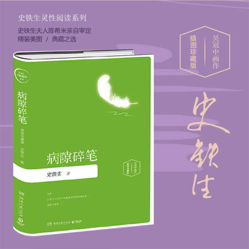 病隙碎笔：插图珍藏版 史铁生灵性阅读系列之五 史铁生灵性光辉的生命笔记 启迪无数读者的长篇哲思散文经典