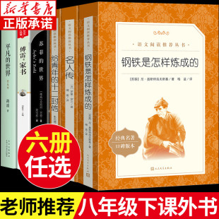 世界 十二封信 八年级下册课外阅读全6册 平凡 钢铁是怎样炼成 名人传 苏菲 给青年 傅雷家书 中小学语文拓展阅读丛书