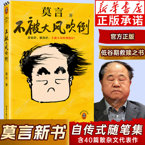 新华正版不被大风吹倒