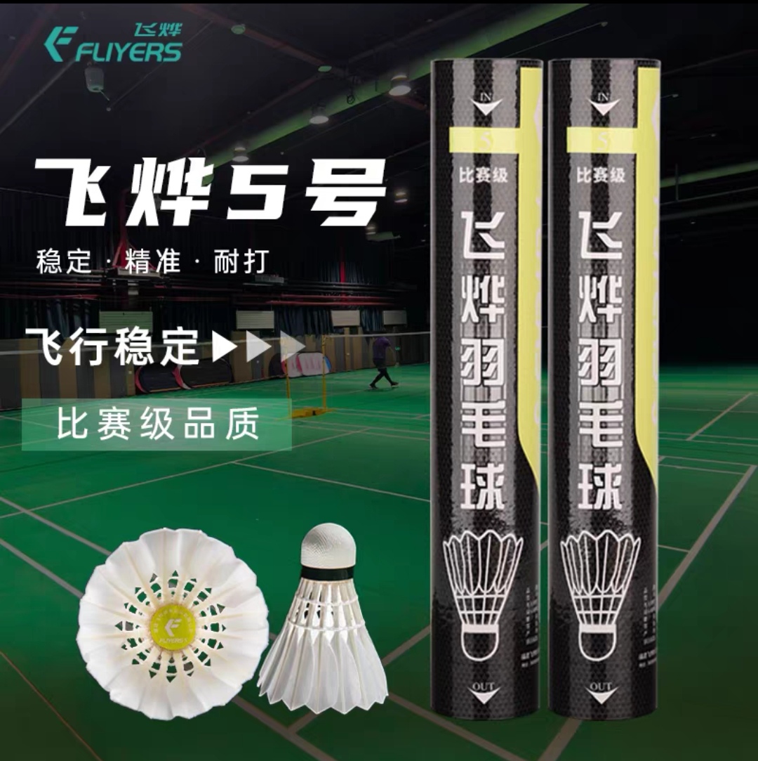 飞烨正品5号羽毛球鹚鸪鸭毛片耐打王专业训练比赛球飞行稳定耐打