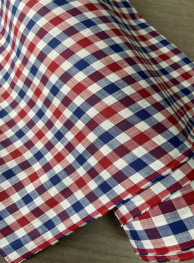 AUSTRIA GETZNER格子棉100%进口春夏设计师衬衫裙子亲肤布料