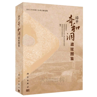 正版现货 漳平奇和洞遗址图鉴 福建博物院，福建省龙岩市文化广播电视新闻出版局，福建漳平市文化体育局 编 -科学出版社