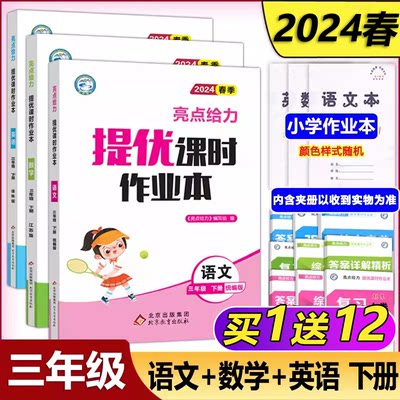 2024春亮点给力提优课时作业本