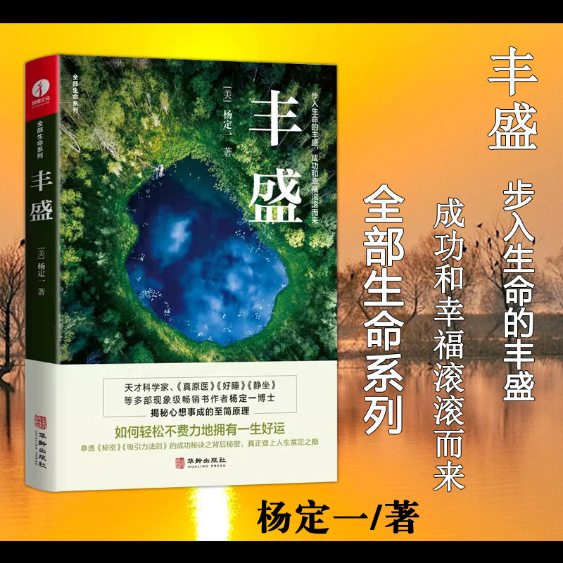 现货包邮 丰盛 杨定一 全部生命系列 揭秘心想事成的至简原理 参透秘密 吸引力法则的成功秘诀之背后的秘密 真原医静坐作者新书