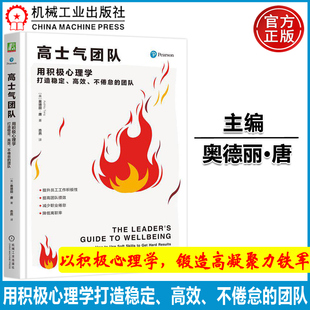 官方正版 高士气团队：用积极心理学打造稳定、高效、不倦怠的团队 （英）奥德丽·唐（Audrey Tang） 机械工业出版社