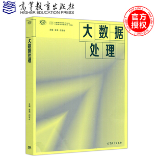 金海 石宣化 社 包邮 数据库大数据挖掘分析书 高等教育出版 大数据处理 CFF大数据专家委员会 现货 CCF大数据教材系列丛书