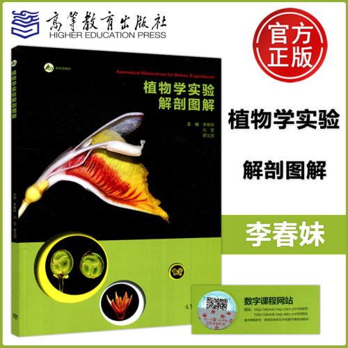 高等教育植物学实验解剖图解