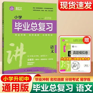现货包邮 DIY思脉图书小学毕业总复习语文易学练42讲复习计划全解本精练本真题模拟卷小升初毕业冲刺名校选拔分班考试卷实验班考卷