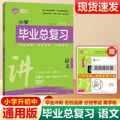 现货包邮 DIY思脉图书小学毕业总复习语文易学练42讲复习计划全解本精练本真题模拟卷小升初毕业冲刺名校选拔分班考试卷实验班考卷