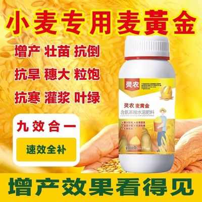 麦黄金壮苗促杆促吸收壮杆壮苗抗倒伏增产增量高产小麦叶面肥料