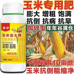 金大棒玉米金大棒促根壮苗促早熟强株耐旱涝抗倒伏氨基酸水溶肥正