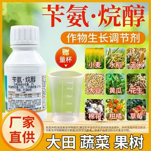 2%苄氨烷醇三十烷醇苄氨烷醇基嘌呤小麦果树水稻玉米蔬菜膨大专用