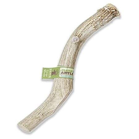 Prairie Dog Pet Products Deer Large Antler Treat， 8-9