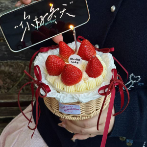 2026圣诞节新年冰淇淋草莓编织篮花束蛋糕装饰蝴蝶结丝带烘焙插件