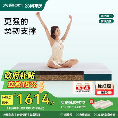 大自然棕床垫护脊护腰硬垫子P2